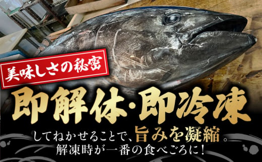 累計19,000件突破＞長崎県産 本マグロ「赤身」(約500g) まぐろ 鮪