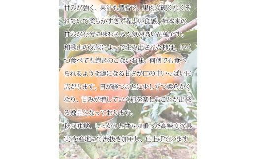 和歌山秋の味覚 平核無柿（ひらたねなしがき） 約4kg 化粧箱入 ※2024年