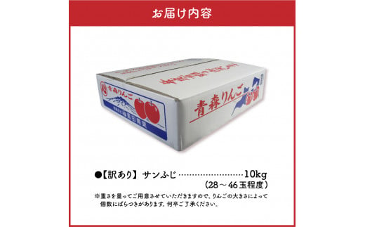 青森県五所川原市のふるさと納税 【2024年12月前半発送】 【訳あり】 りんご 約10kg サンふじ 青森産