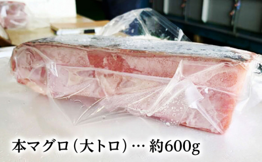 長崎県産 本マグロ「大トロ」(約600g) まぐろ 鮪 さしみ 刺身 刺し身