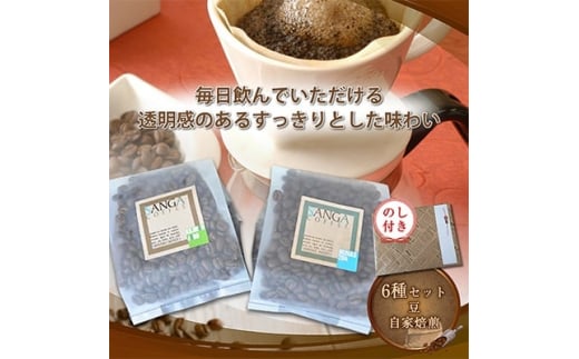 ＜のし付き＞サンガコーヒー〈豆〉100g×6種【1097801】 1017158 - 長野県御代田町