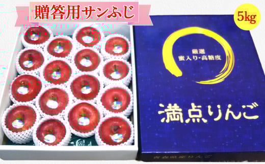 [贈答用] サンふじ「満点りんご」5kg (16玉)【数量限定】｜青森産 つがる 津軽 リンゴ 林檎 果物 フルーツ サンフジ 厳選りんご 2024年 令和6年 [0721]