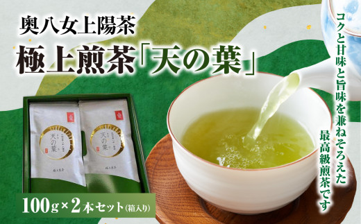 奥八女上陽茶 極上煎茶「天の葉」100ｇ×2本セット箱 507282 - 福岡県