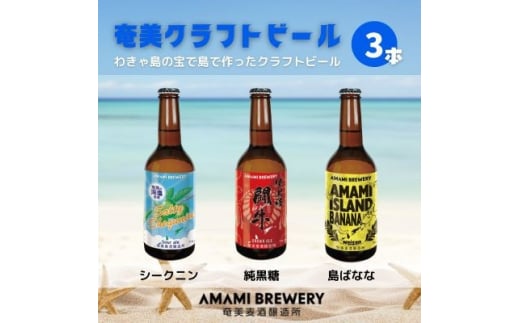 奄美クラフトビール 3本入り 地ビール【1432327】 1017217 - 鹿児島県伊仙町