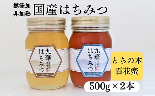 ad10　舘養蜂場本店　国産はちみつ500g×2本セット 1415357 - 三重県桑名市