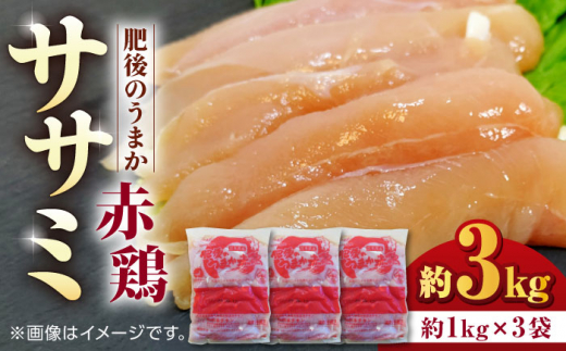 肥後のうまか 赤鶏  ササミ 約3kg【山内飼料 株式会社 熊本営業所】 鶏肉 ささみ 熊本県 特産品 赤鶏  [ZAB003]