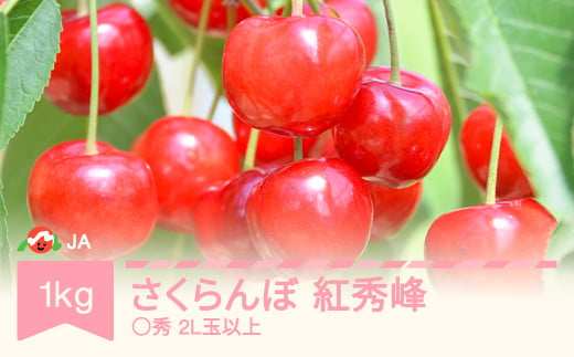 先行予約 さくらんぼ 紅秀峰 1kgバラ ◯秀2L玉以上 2024年産 令和6年産