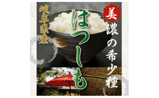 [美濃の希少種]白米 はつしも 10kg(5kg×2袋) 岐阜県産 令和4年産【1428682】