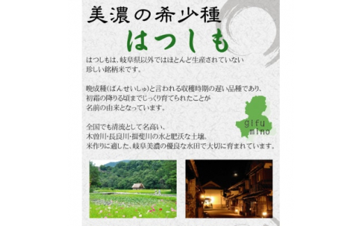 [美濃の希少種]白米 はつしも 10kg(5kg×2袋) 岐阜県産 令和4年産【1428682】