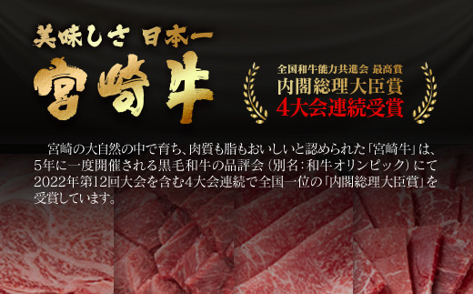 【必見！期間限定】宮崎牛ミスジステーキ 2枚 合計300g 希少部位 牛肉 ステーキ ブランド牛 ミヤチク 内閣総理大臣賞4連覇  1月発送＜1.4-24＞