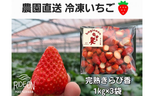 116-2　冷凍いちご3kg　静岡県限定栽培の特別ないちご「きらぴ香」|萩埜園