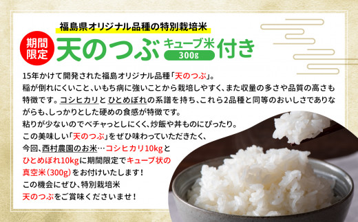 【令和5年産】【西村農園のお米】 コシヒカリ　１０ｋｇ（天のつぶ　３００ｇ 今だけキューブ米付き 期間限定）【09303】