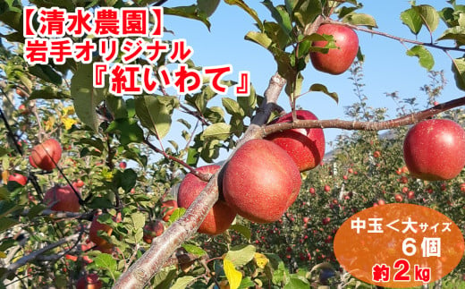 【清水農園】フレッシュ りんご 岩手県のオリジナル品種「紅いわて」約2kg 【 リンゴ 林檎 果物 フルーツ 期間限定 】2024年8月下旬頃から順次発送