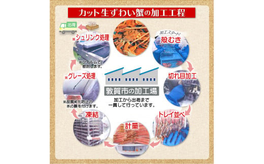 [12月発送]【お刺身ＯＫ】カット生ずわい蟹400g（総重量約500g