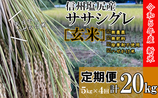 新米予約】定期便 信州塩尻産ササシグレ・玄米20kg（5kg×4回