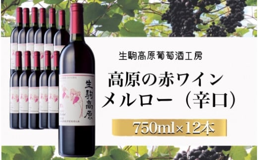 【高原の赤ワイン】メルロー　1ダース 1020200 - 宮崎県小林市