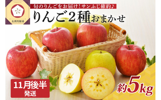 [2025年11月後半発送] りんご 青森産 約5kg サンふじ 確約 品種おまかせ2種以上 贈答用 特選〜特秀