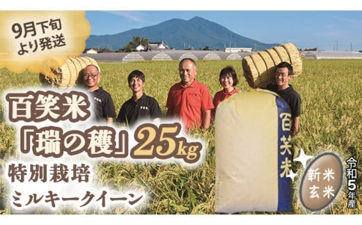 令和5年産新米】【特別栽培米】【玄米】野川清流米「ミルキークイーン