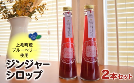 【上毛町産ブルーベリー使用】ジンジャーシロップ  2本セット　KT0502 246624 - 福岡県上毛町