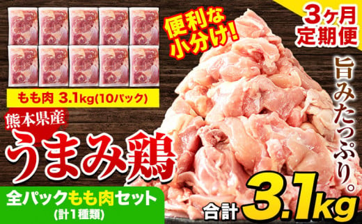 【3ヶ月定期便】鶏肉 うまみ鶏 全パックもも肉セット(計1種類) 計3.1kg 若鶏 冷凍 小分け《お申込み月の翌月より出荷開始》 984530 - 熊本県津奈木町