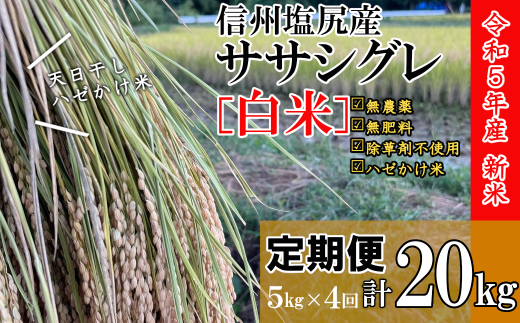 【新米予約】定期便 信州塩尻産ササシグレ・白米20kg（5kg×4回