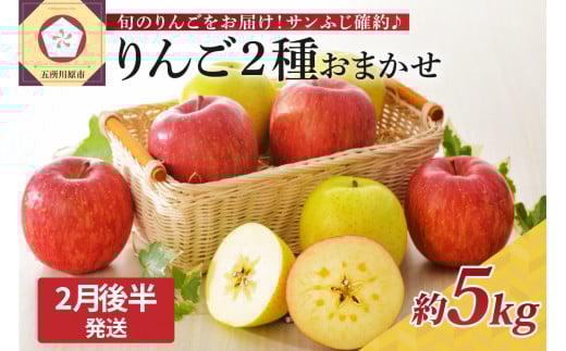 【2026年2月後半発送】 りんご 青森産 約5kg サンふじ 確約 品種おまかせ2種以上 贈答用 特選～特秀 1064366 - 青森県五所川原市