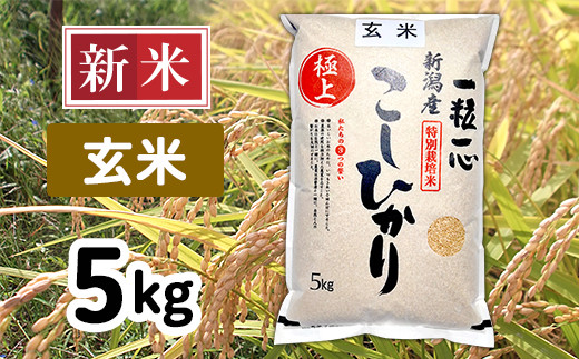 48-3G051【玄米】新潟県長岡産特別栽培米コシヒカリ5kg