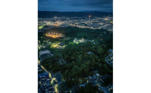 【AirX】京都夜景ヘリクルージング12分 1009240 - 京都府京都市