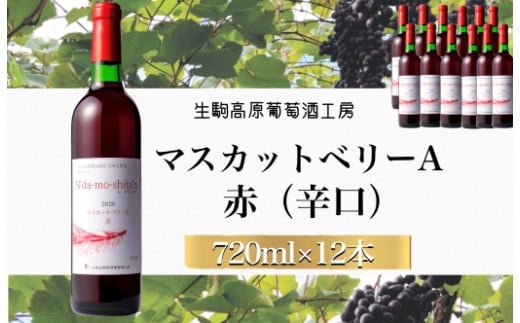 【高原のフレッシュワイン】マスカットベリーA（赤）　1ダース 1020199 - 宮崎県小林市