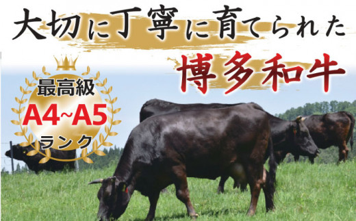 【全12回定期便】【厳選部位使用！】博多和牛A5しゃぶしゃぶ・すき焼き用400g《築上町》【株式会社MEAT PLUS】 [ABBP050]