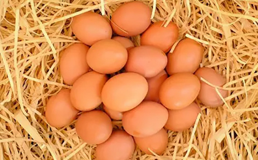 遠方（埼玉県等）からもお買い求めに来られるほど、美味しい卵です！！新鮮な卵をぜひご賞味下さい！！