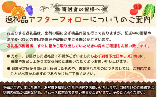 先行予約】有田育ちの濃厚柑橘詰め合わせセット(ご家庭用) 約５kg【3月