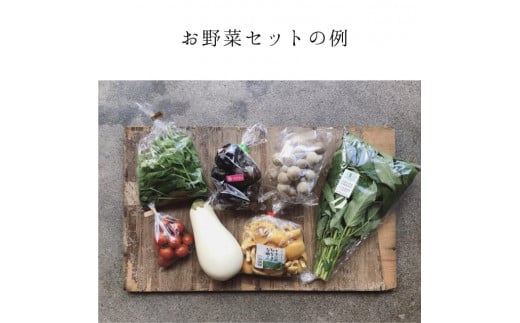 Organic Vege Annex】京都市産お野菜セット＋無添加惣菜8パックセット - 京都府京都市｜ふるさとチョイス - ふるさと納税サイト