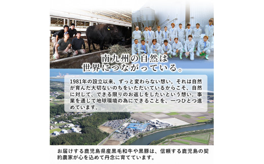 【数量限定】鹿児島県産黒毛和牛サーロインステーキ 200g×4枚 b7-011