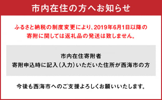 土・日・祝日前日コース】【贅沢すぎる時間を】 西海グランピング