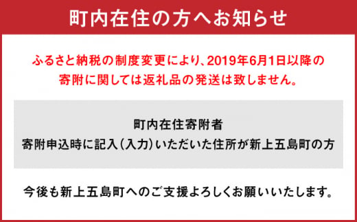 12/29～12/31にお届け】【着日指定必須】 養殖 勝ち ブリ 片身 フィレ