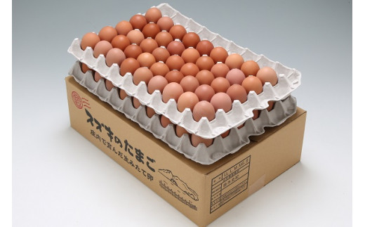 スズキのたまご　地養卵　MS～L　約5kg（80～90個）