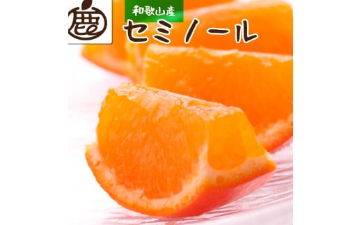 厳選セミノールオレンジ4kg+120g（傷み補償分）＜2024年4月より発送＞ 526694 - 和歌山県九度山町