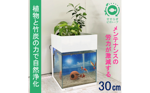 水槽セット せせらぎビオトープ アクアリウム 30cm 照明 スチール 