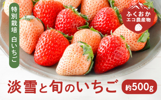 オーガニック冷凍あまおう 1kg (500g×2パック)【伊世いちご畑】_KA1315