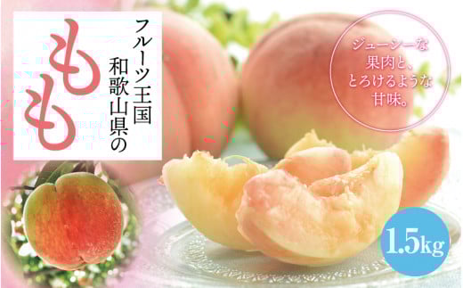 【数量限定】【和歌山ブランド】【厳選】和歌山のこだわり桃  約1.5kg（５～６玉）※2025年6月中旬から7月下旬発送予定 /※北海道・沖縄・離島配送不可/ もも モモ 桃 ギフト 贈り物 プレゼント 夏ギフト 果物 フルーツ 人気 産地直送 和歌山県 お取り寄せ 【ard057C】