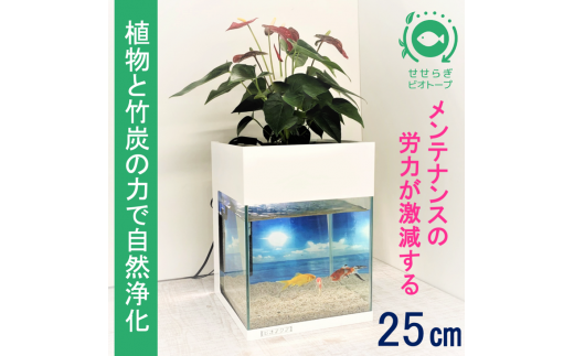 水槽セット　せせらぎビオトープ　アクアリウム　25cm　照明　スチールカバー　観賞魚 779729 - 広島県東広島市