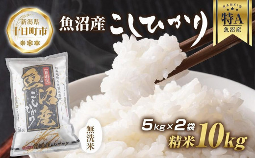 DE240 【令和5年産 新米】無地熨斗 魚沼産 コシヒカリ 5kg × 2袋 計