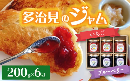 多治見のジャム いちご・ブルーベリー 200g×6個 【有限会社廿原ええのお】 いちご ギフト 小瓶 スイーツ 多治見市/廿原ええのお  [TCI003] 1023774 - 岐阜県多治見市