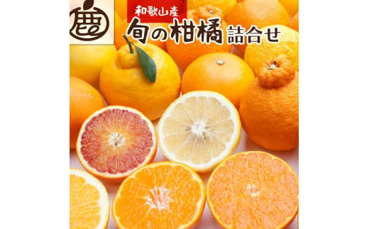 厳選旬の柑橘詰合せ3kg+90g（傷み補償分）＜1月より発送＞ 485191 - 和歌山県九度山町