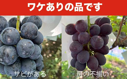 訳ありの理由画像