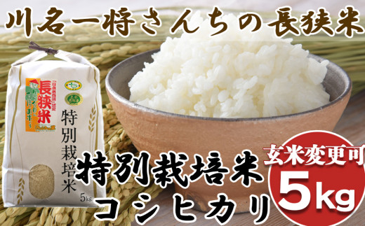 鴨川のホープが作った特別栽培米コシヒカリをお届けします！精米・玄米をお選びいただけます。