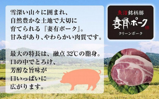 無地熨斗 妻有ポーク 豚ヒレ ブロック 500g つまりポーク 豚 ヒレ 豚肉