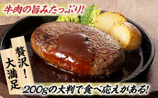 九州産 藤彩牛 大判 ハンバーグ [ZDT001] 冷凍 国産 牛肉 ハンバーグ セット 大判ハンバーグ 熊本