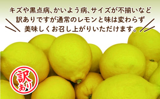 【価格改定予定】【予約受付】 訳あり 西浦 レモネード 5kg 西浦 蜜柑 柑橘 オレンジ 減農薬 木負観光みかん園